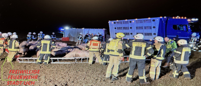 Unfall mit Großtier Unfall mit Großtier